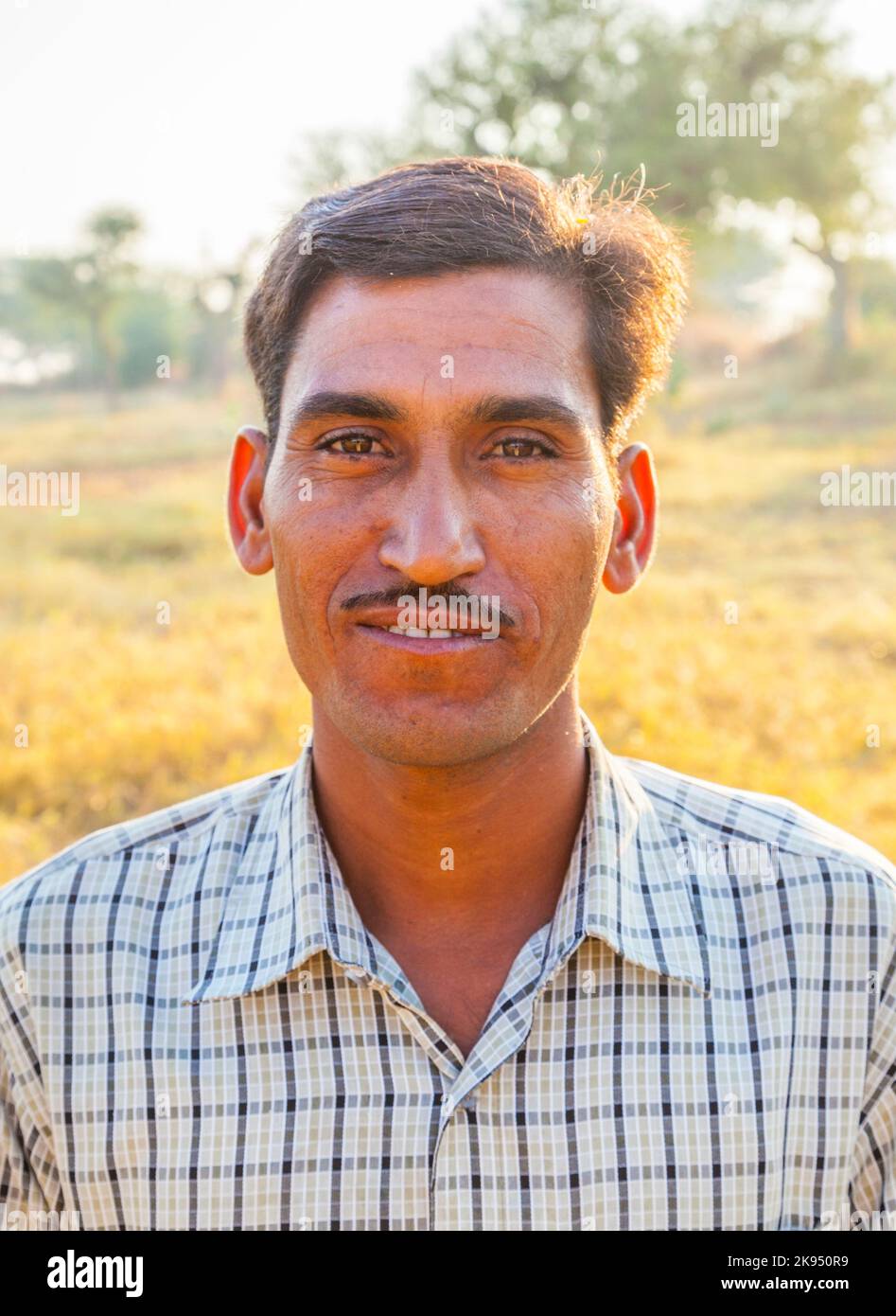 MANDAWA, INDIA, OCT 25: farmer poses in front of his cows on OCT 25 in  Mandawa, India.  There are over 280 MILLION cows in India. Thats more than a q Stock Photo