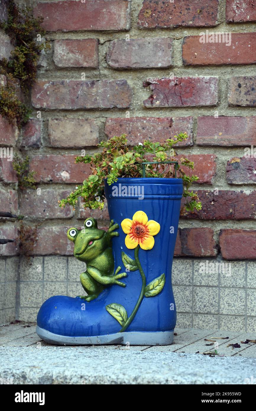 garden decoration, frog sitting on a planted blue rubber boot, France, Normandy, Departement Seine-Maritime , Neufchatel-en-Bray Stock Photo