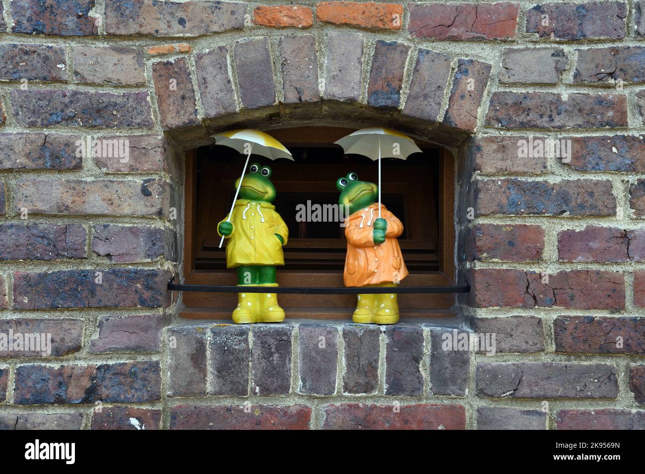 decorative frogs in rainwear and with umbrella in front of a window, France, Normandy, Neufchatel-en-Bray Stock Photo