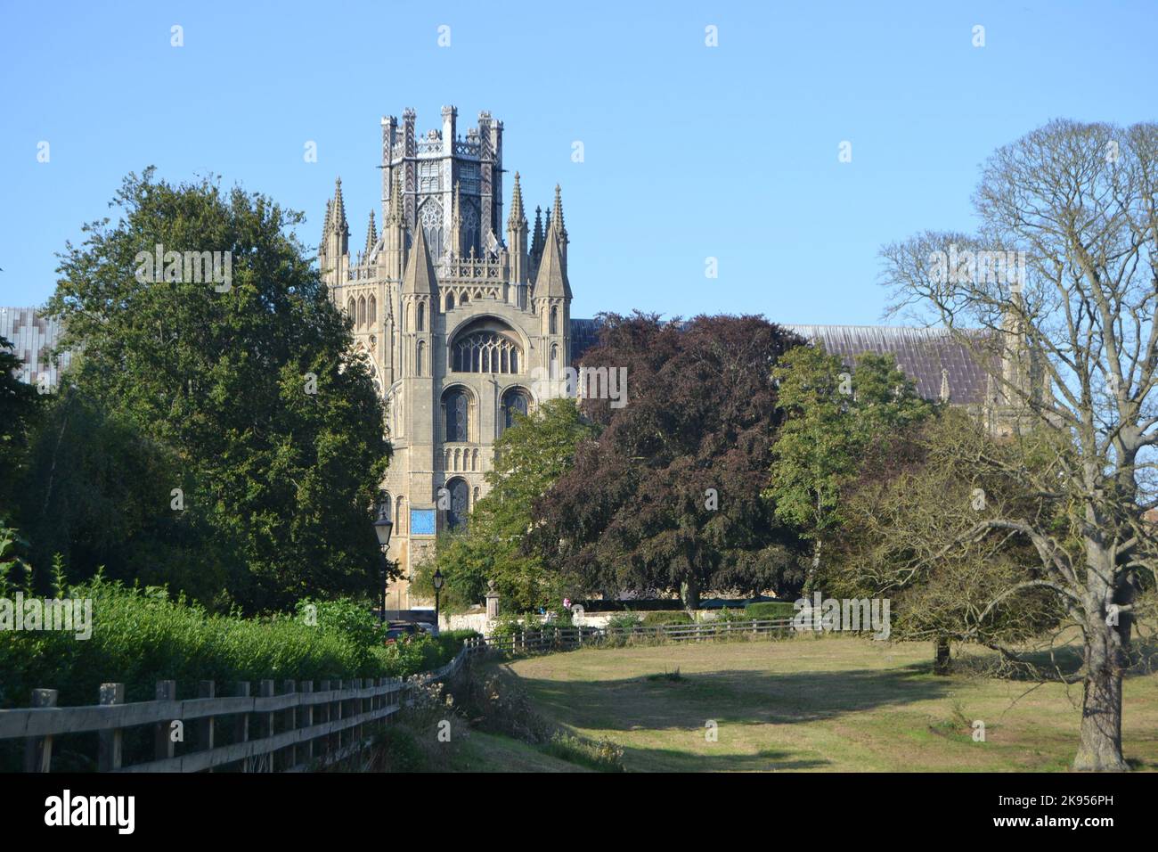 The Ely Cathedral surrounded by trees Stock Photo - Alamy