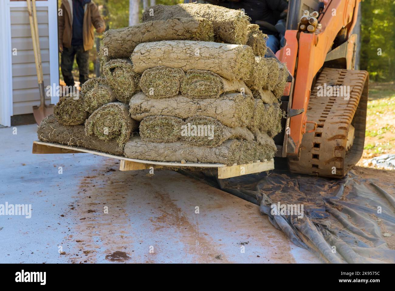 During construction boom forklift truck unloads green grass turf rolls pallets in order to use