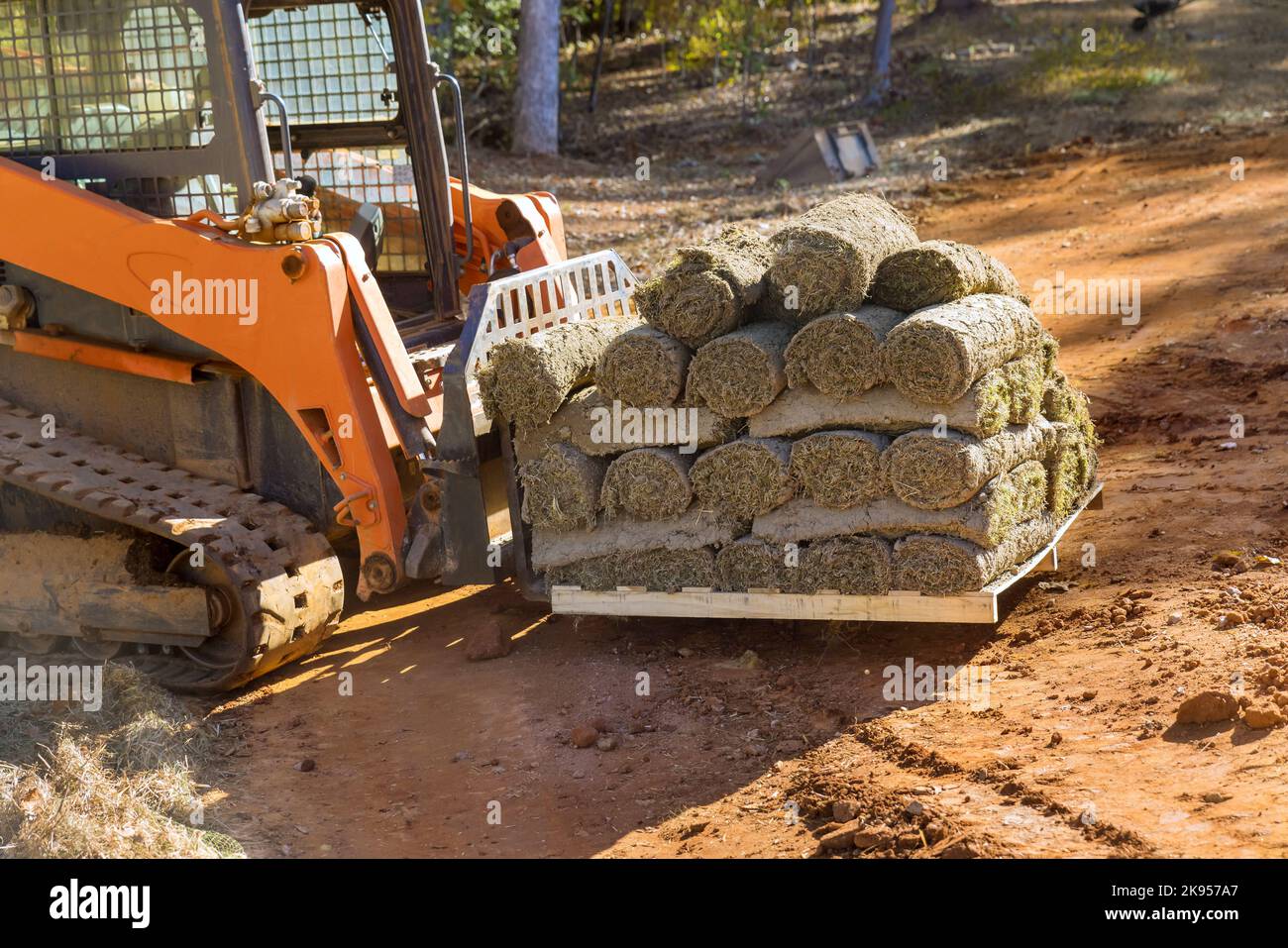 Forklift unloading green grass turf rolls in pallets for landscaping on construction site with