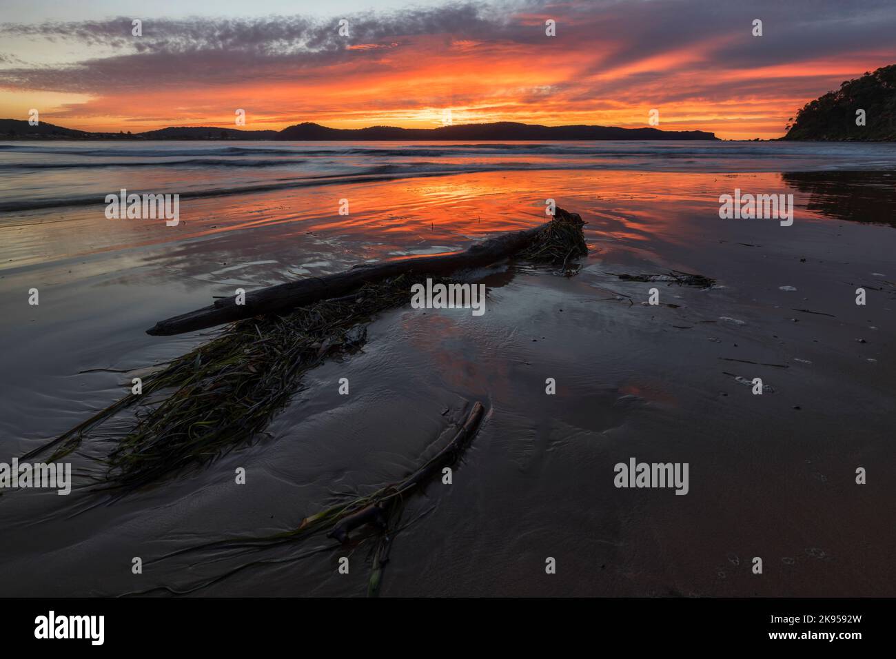 A landscape shot of the Umina Beach under the dramatic vibrant sunrise