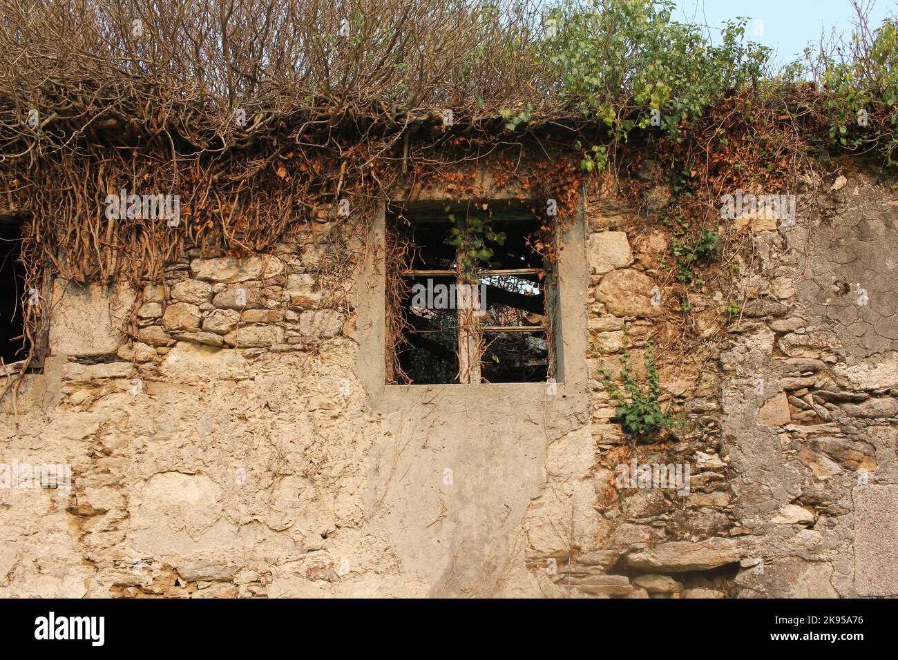 An old abandoned rural stone house wall in Galicia, Spain Stock Photo ...
