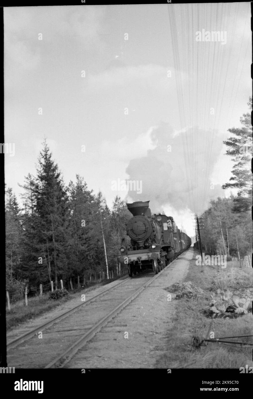 Woodled steam locomotive. State Railways, SJ E 1096. Stock Photo