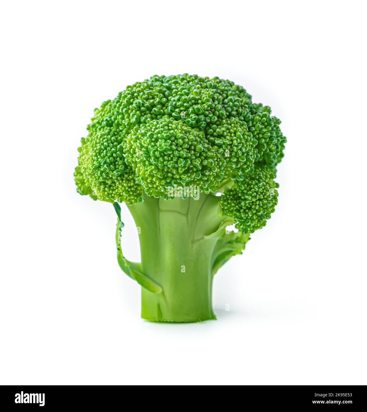 Fresh green broccoli isolated on a white background. Stock Photo