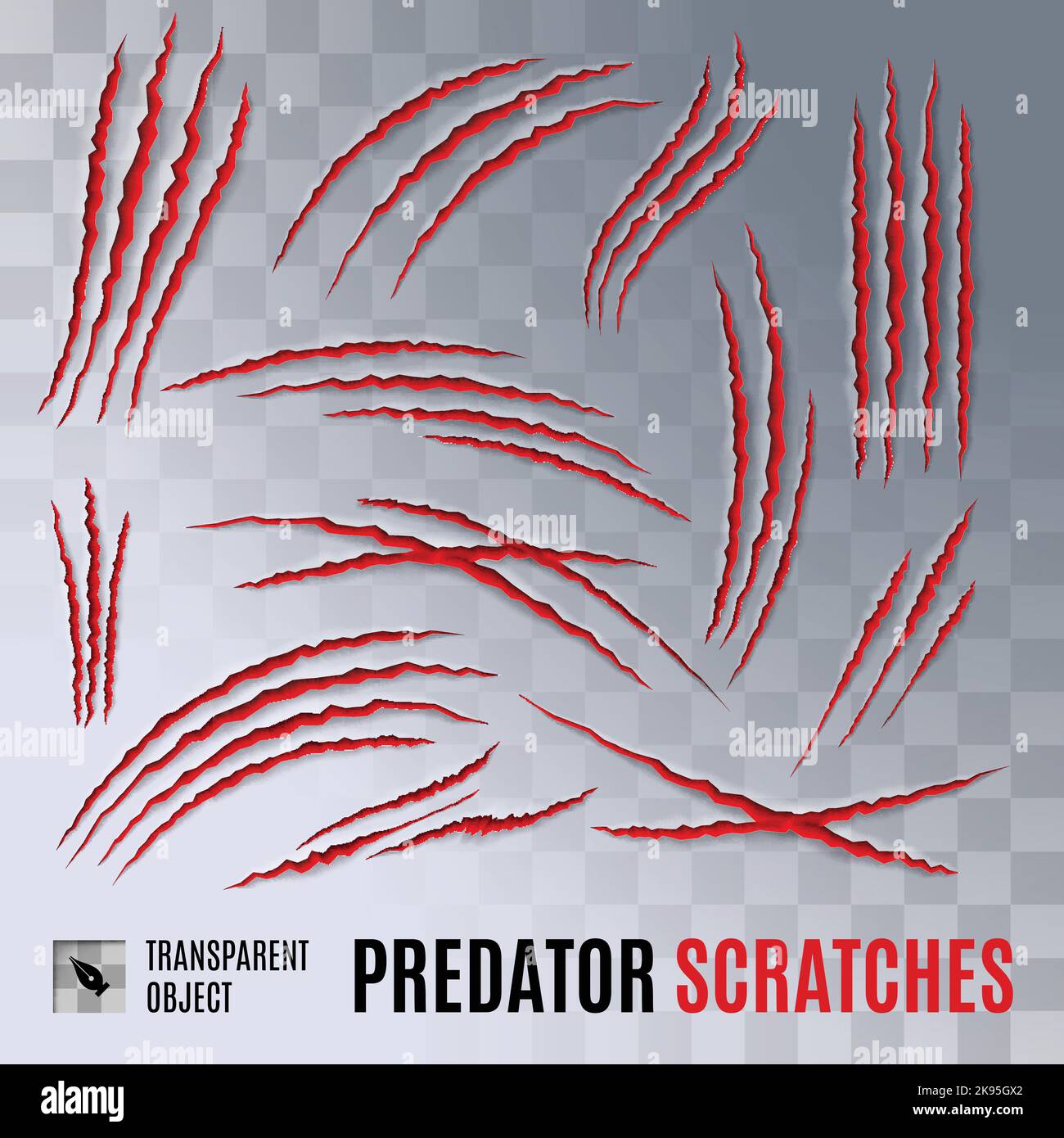 Predators Claws Scratches on Transparent Background. Scratch Claw Animal and Illustration Shred From Claw Stock Vector