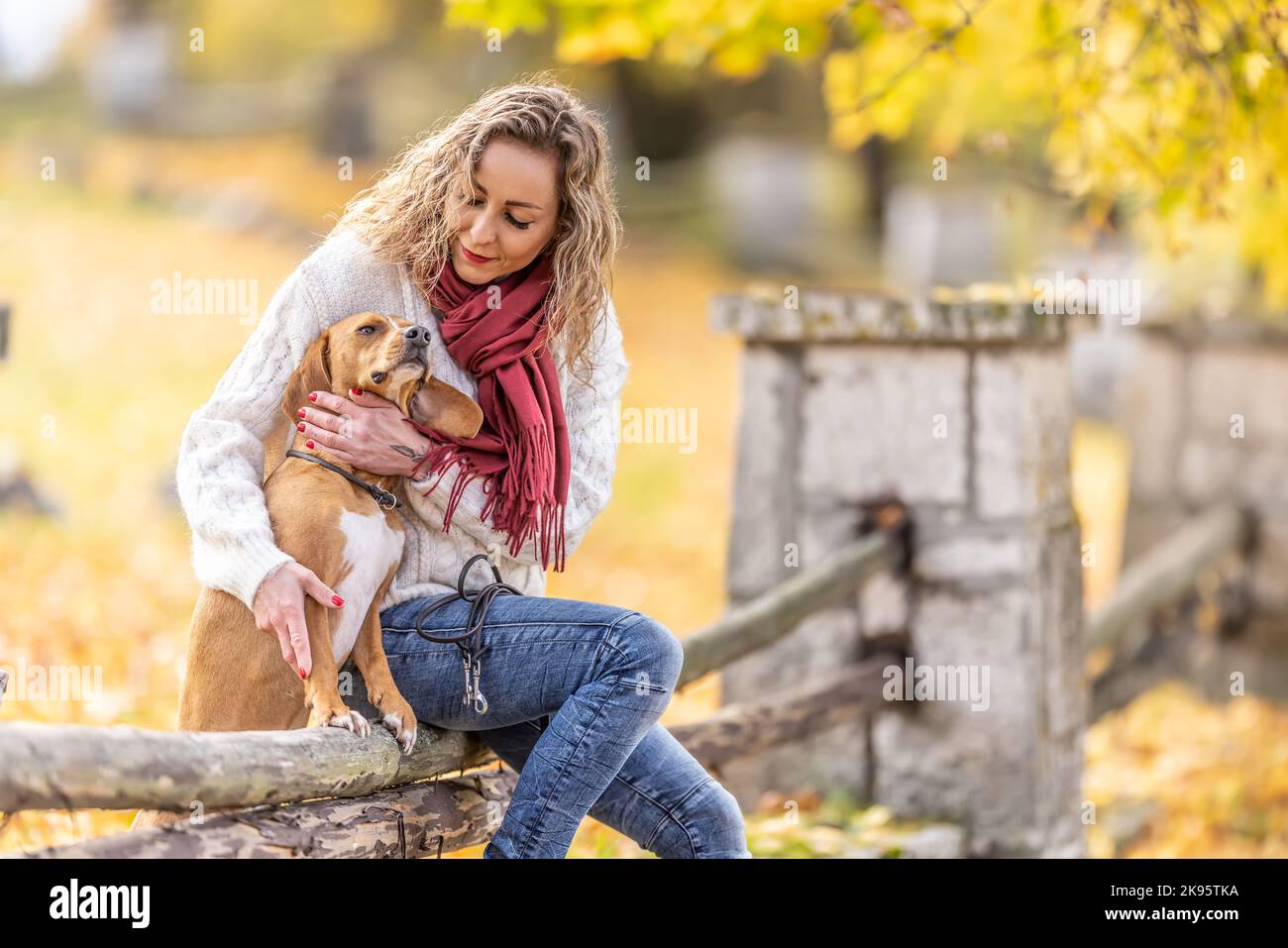 A good looking young woman is sitting in the park with her dogs. Stock Photo