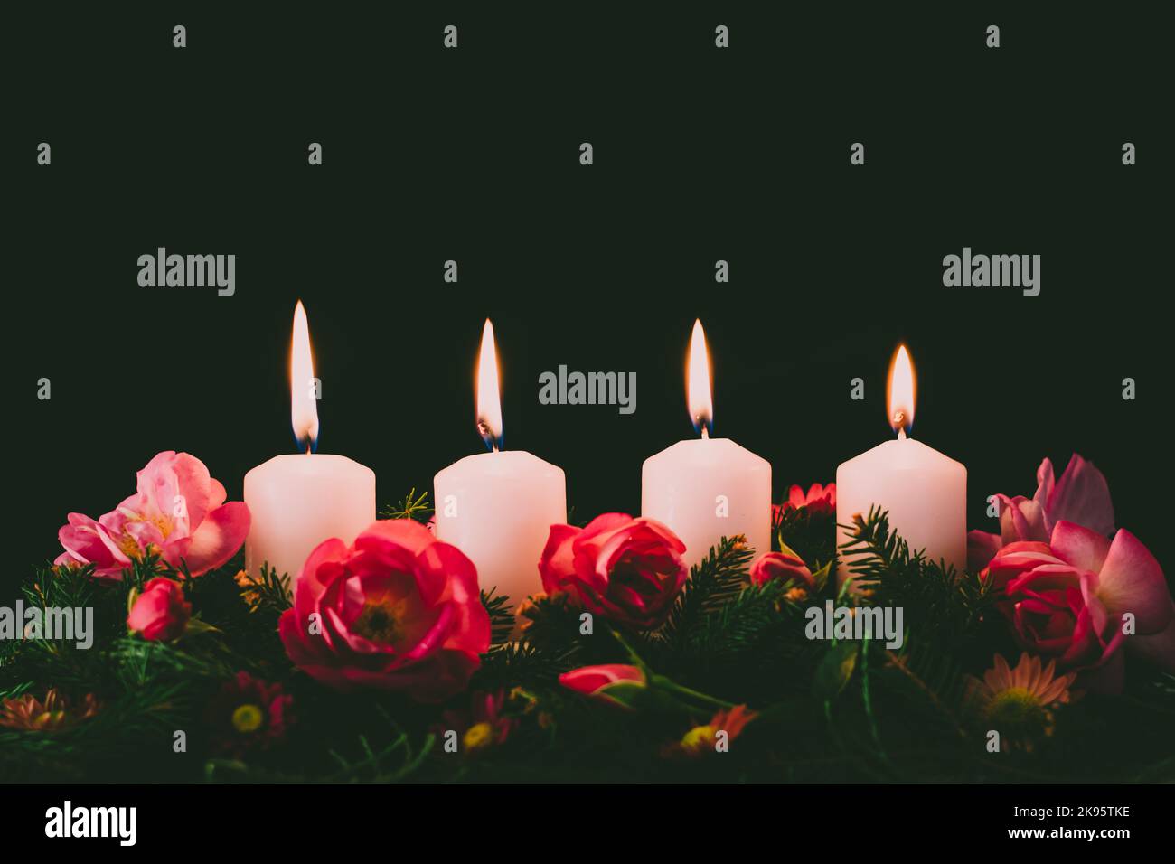 fourth burning advent candle on decorated rose flower pink advent