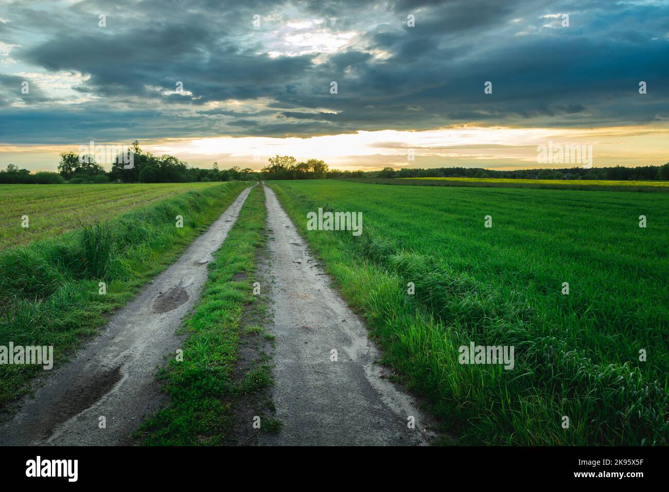 Long dirt road through fields and evening clouds on the sky Stock Photo