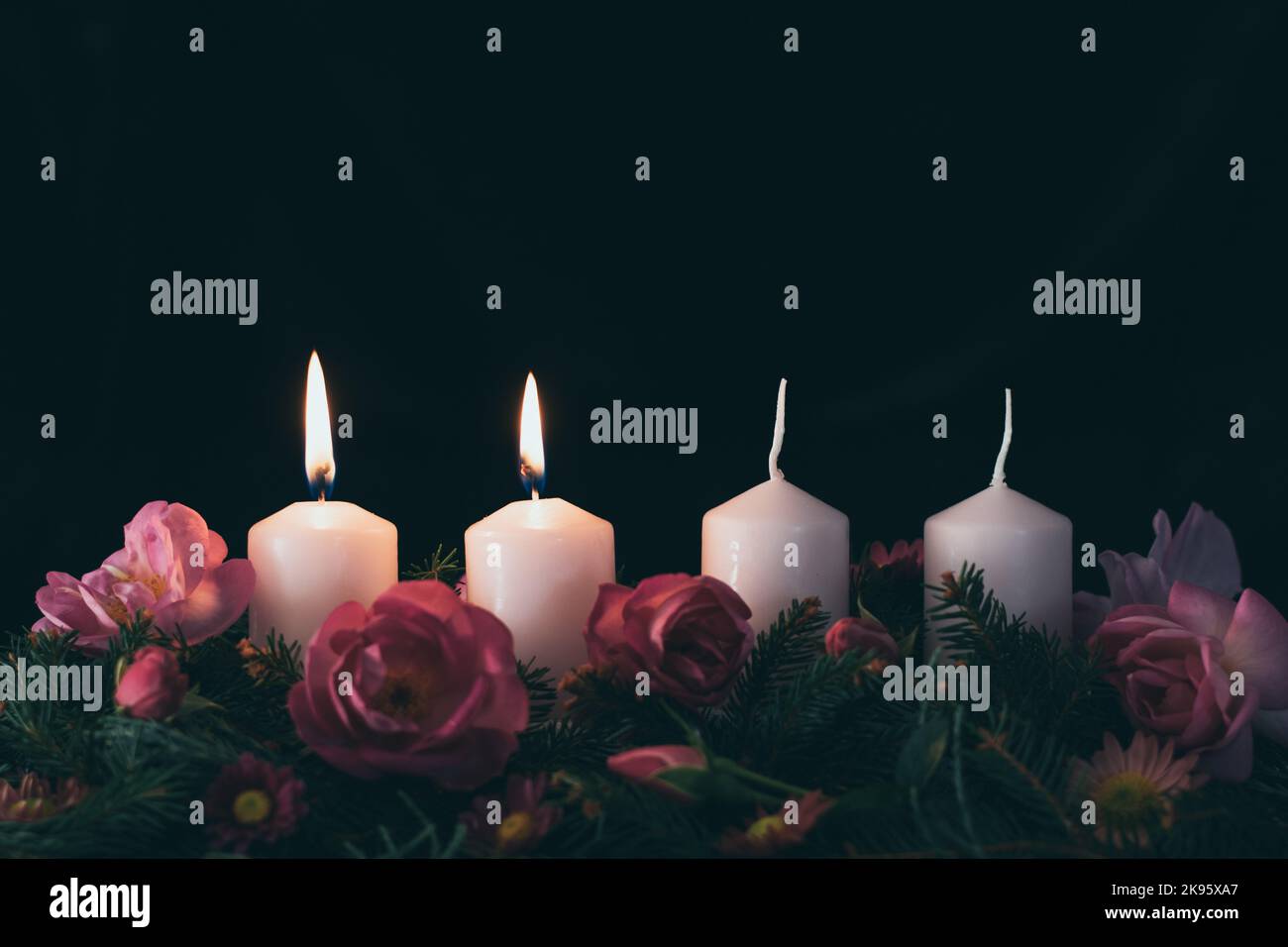 second burning advent candle on decorated rose flower pink advent
