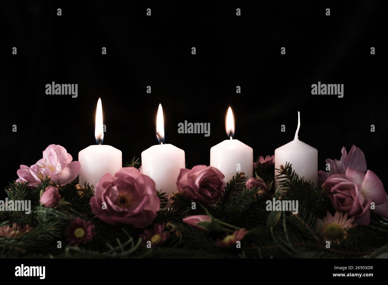 three burning advent candle on decorated rose flower pink advent wreath
