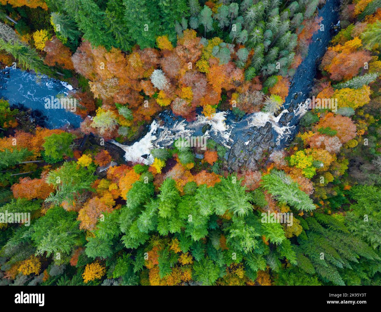 Aerial view of autumn colours surrounding Black Linn Falls on River ...