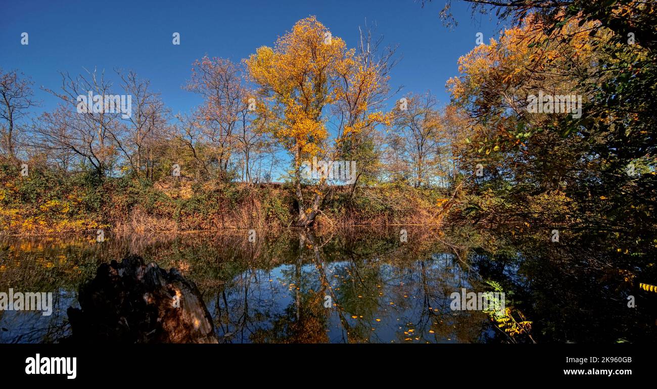River pond lake hi-res stock photography and images - Alamy