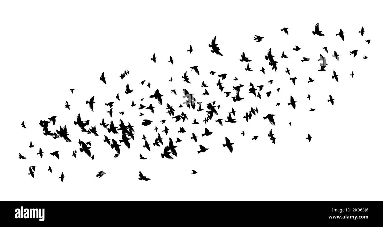 A flock of flying birds. Free birds. Vector illustration Stock Vector