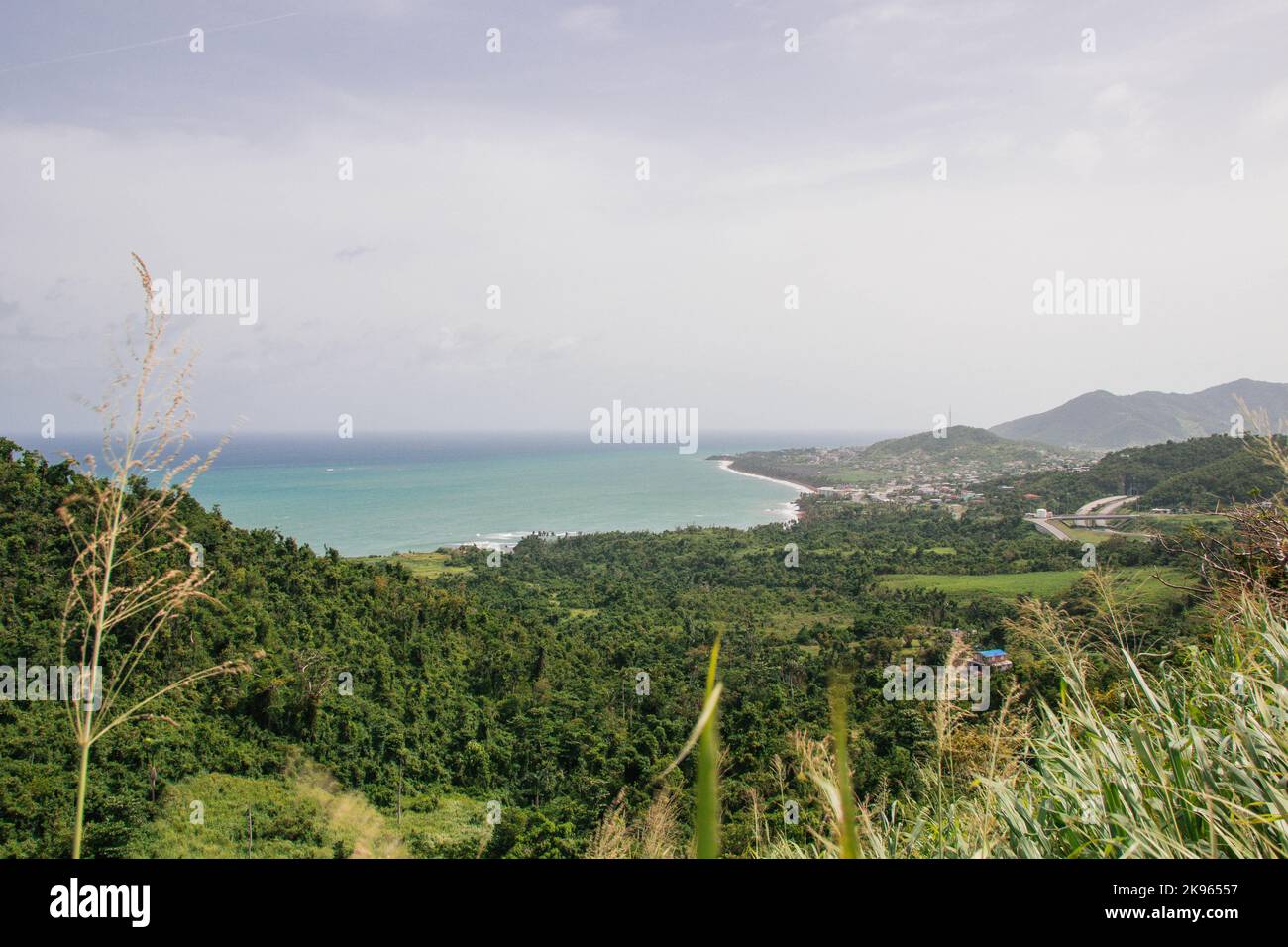Aerial view sea shore palm hi-res stock photography and images - Alamy