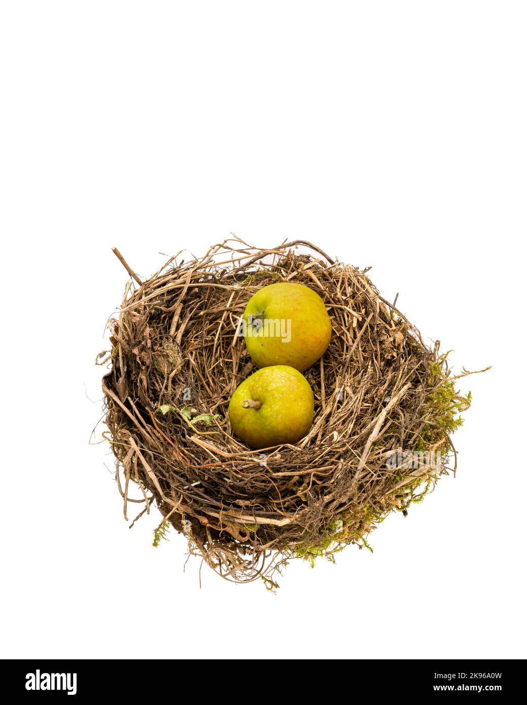 Birds nest with nesting apples Stock Photo Alamy