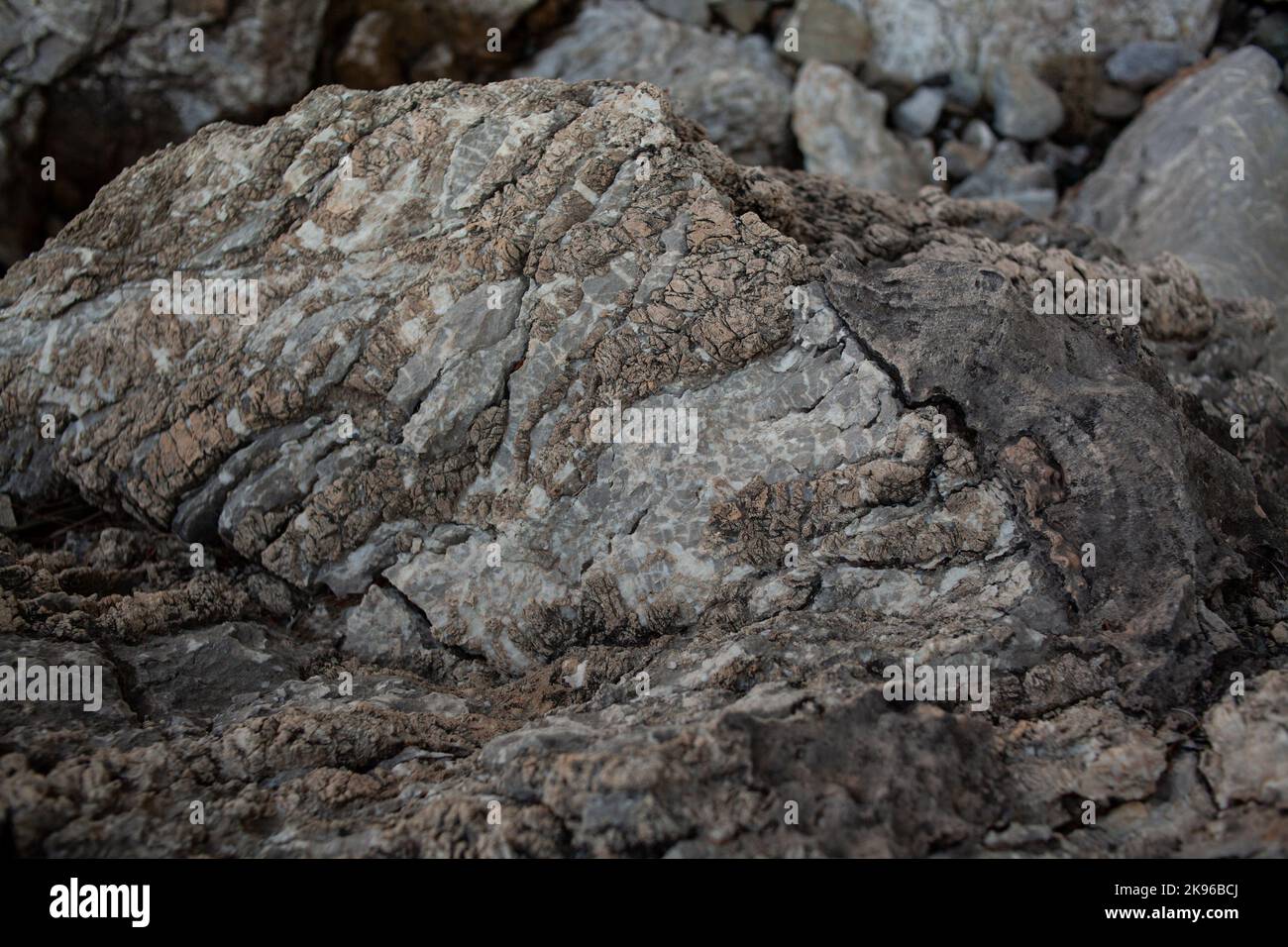 Sea Surface Rocks Rocks and stones in the sea. Sea stones. Rough stone surface texture ...