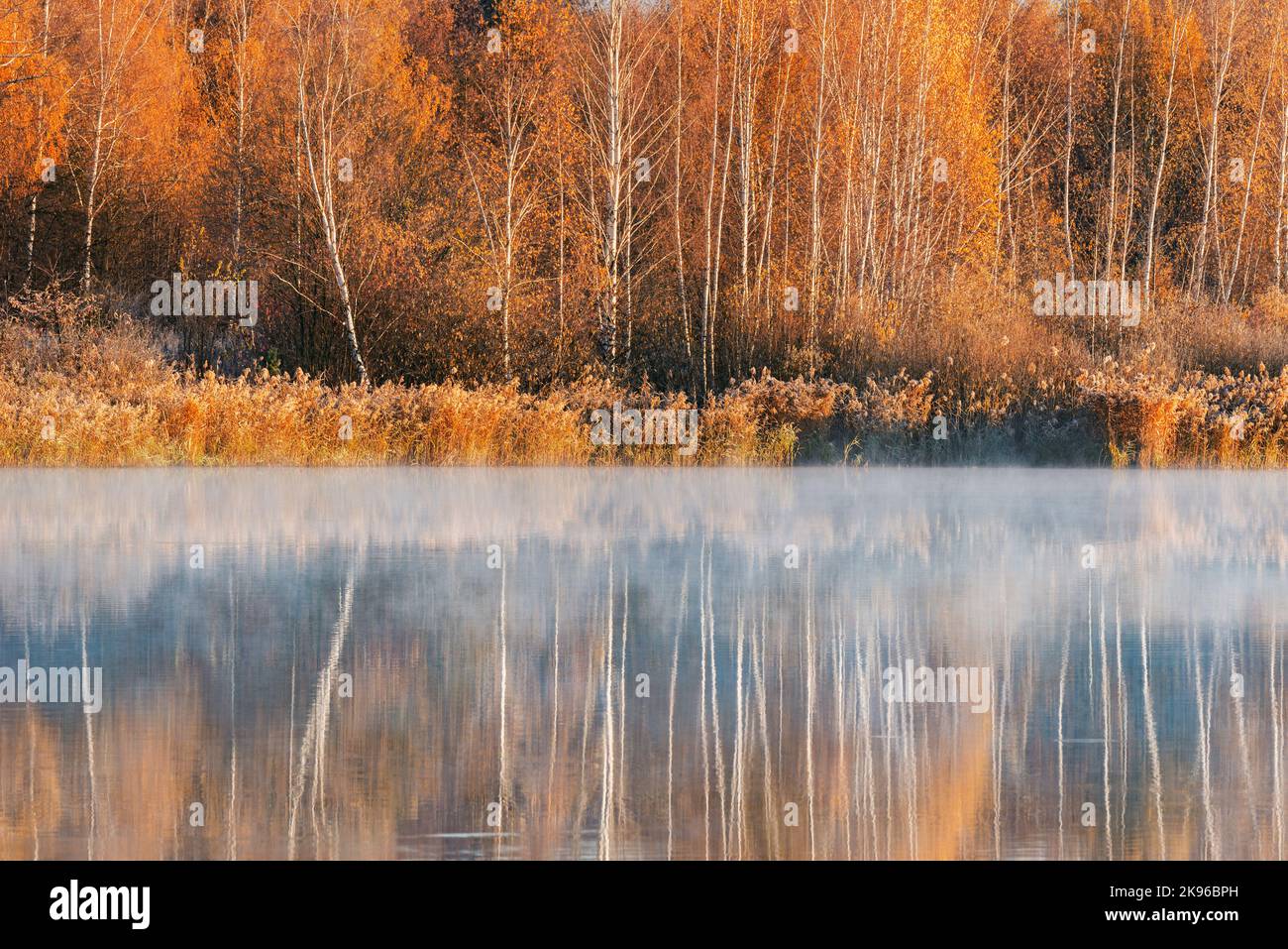 Fog above the lake at cold autumn morning Stock Photo - Alamy