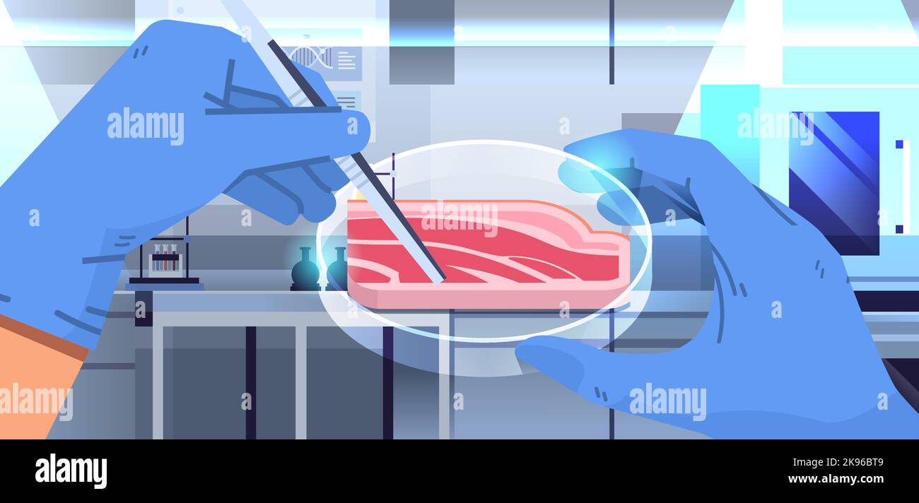 scientist hands holding cultured red raw meat made from animal cells