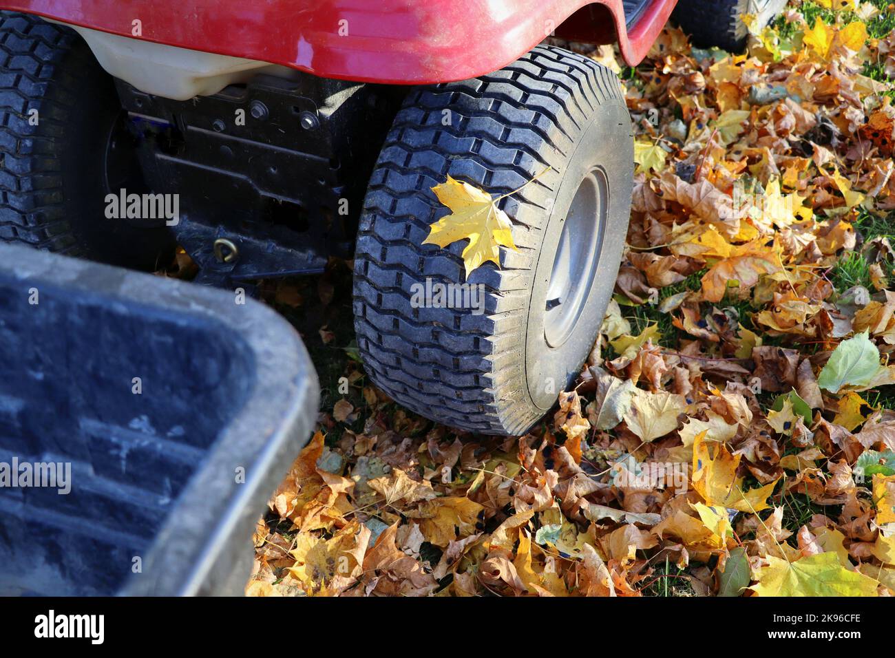 Riding lawn mower with big container in garden. Concept gardening, mowing, work at outside in autumn Stock Photo