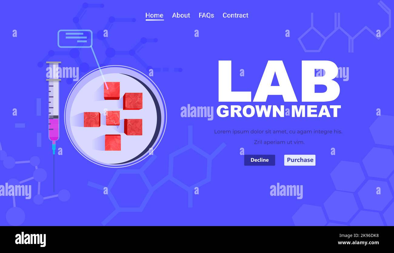 tray with cultured red raw meat made from animal cells artificial lab ...