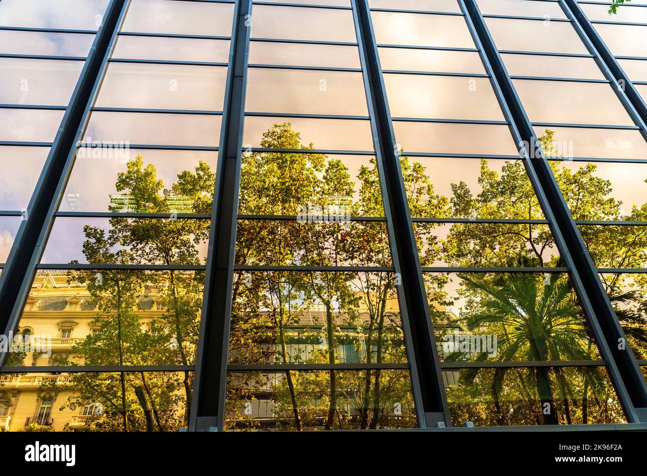 Trees reflected in the glass of a skyscraper in Barcelona in Diagonal  avenue, Barcelona, Catalonia, Spain Stock Photo - Alamy
