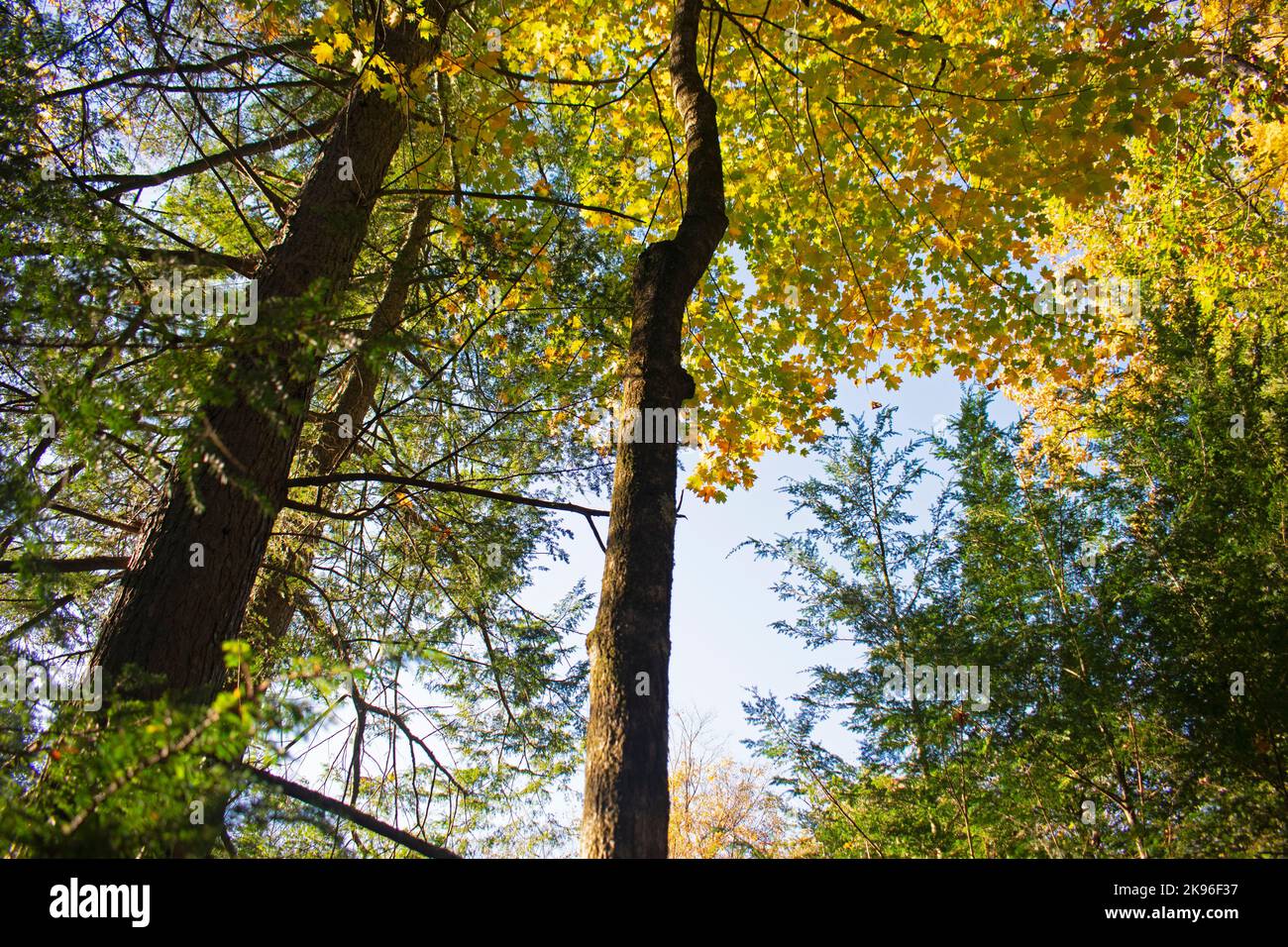 Autumn foliage colors are at their peak at the Pocono mountains at Dingman, Pennsylvania -05 Stock Photo