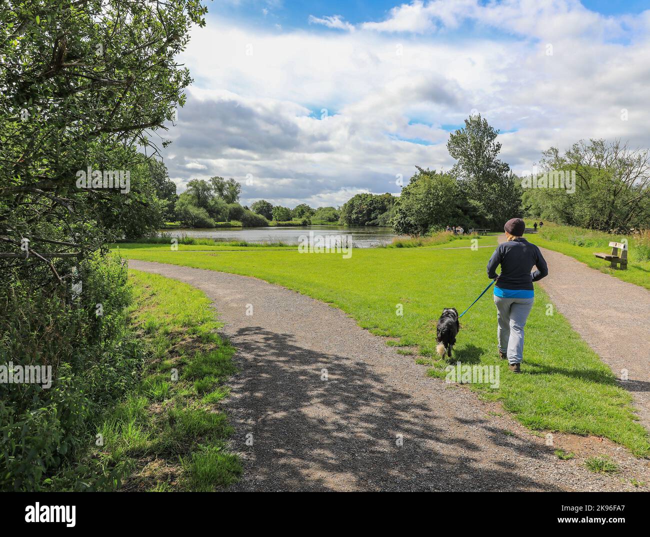 A woman walking her dog on the Nantwich Riverside Loop walk, next to