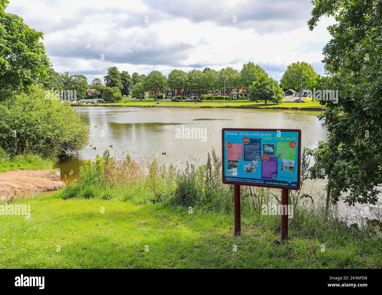 A notice board by a pool on the Nantwich Riverside Loop walk, next to