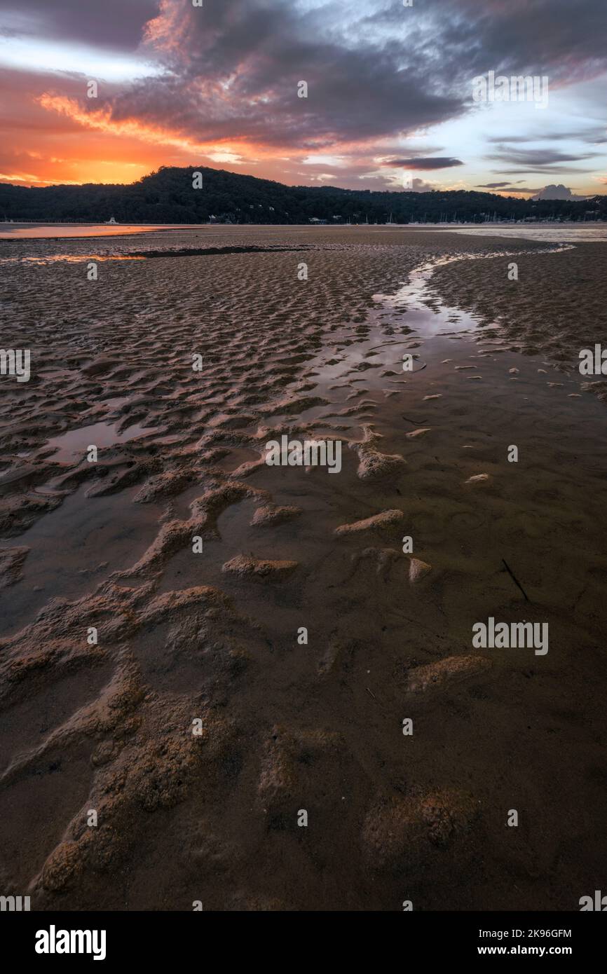 A vertical shot of the beautiful sunrise at Ettalong Beach. New South Wales, Australia. Stock Photo
