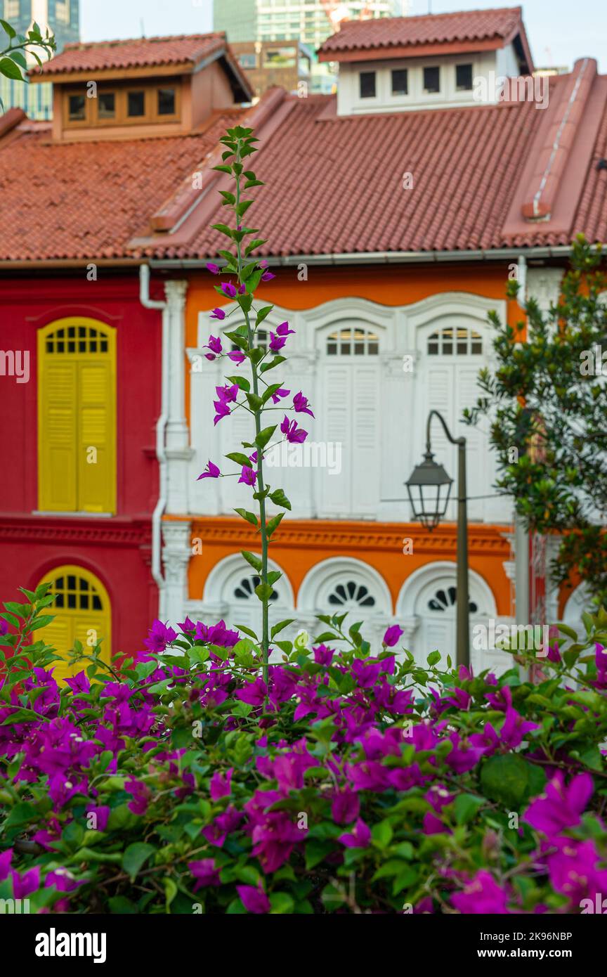 Chinese Painted Houses on New Bridge Road, Chinatown, Singapore Stock Photo