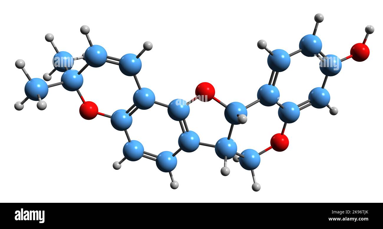 3D image of Phaseolin skeletal formula molecular chemical structure