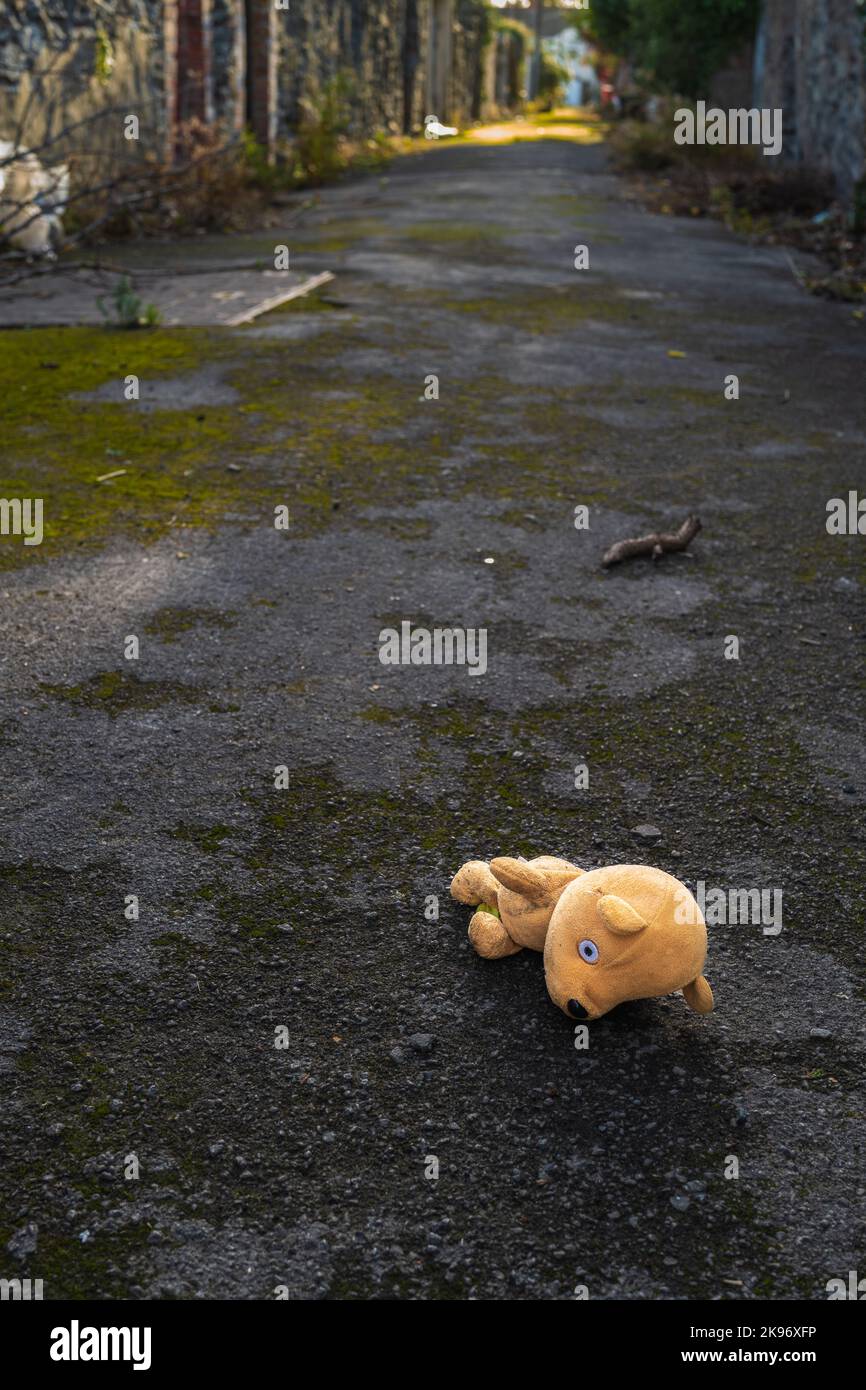Lost Teddy bear lying face down in an alley. Lonely bear doll lying down on a path in a  gloomy day. Concepts - lonely, discarded, unloved, missing Stock Photo