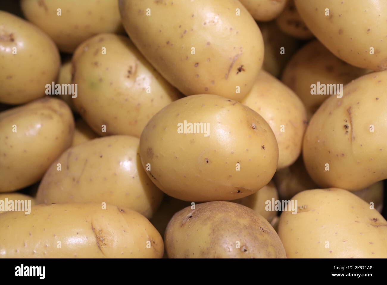 Pommes de terre. Saint-Gervais-les-Bains. Haute-Savoie. Auvergne-Rhône-Alpes. France. Europe. Stock Photo