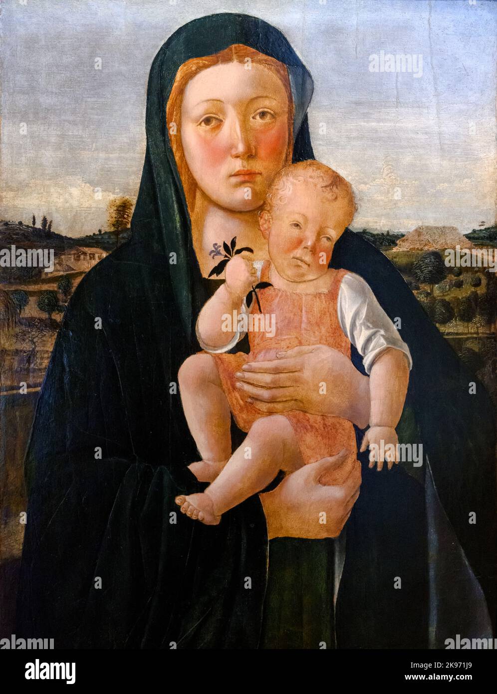 Madonna And Child By Giovanni Bellini (c.1435-1516), Oil On Panel Stock ...