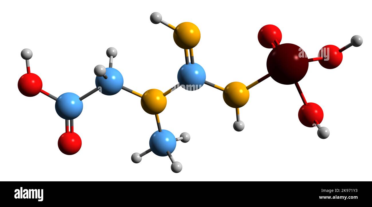 phosphocreatine-system