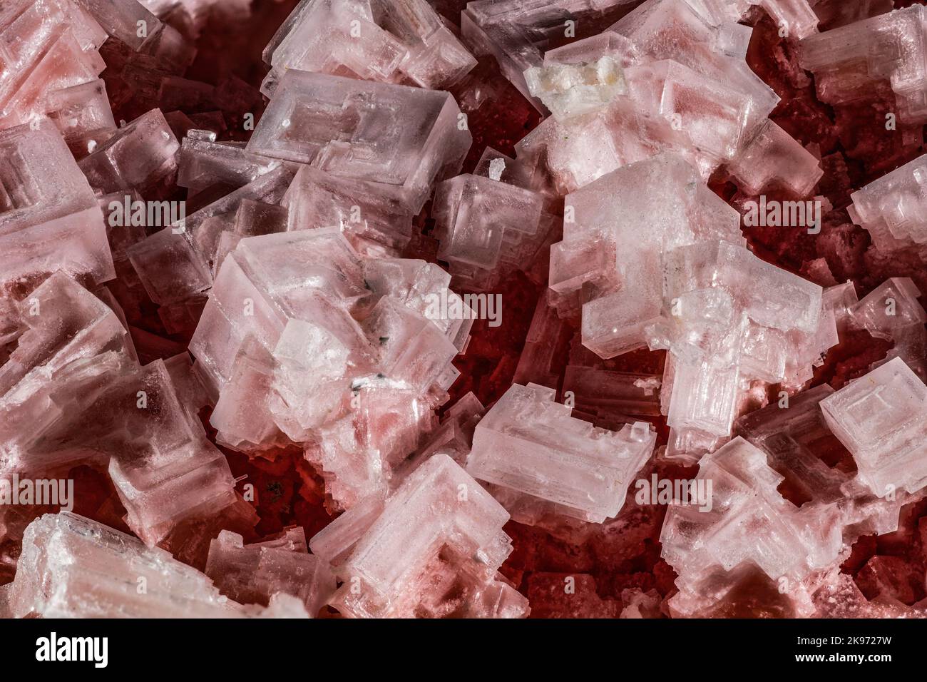 Pink Halite Crystals Stock Photo
