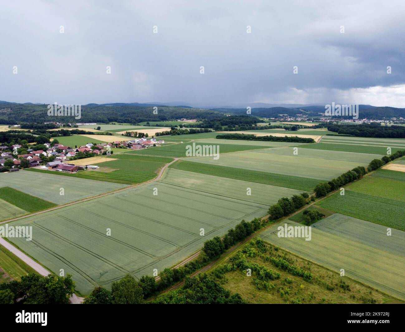 Aerial view of an agricultural field with grain planted in spring in ...