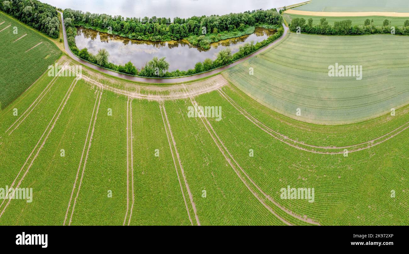 Aerial view of an agricultural field with grain planted in spring in ...