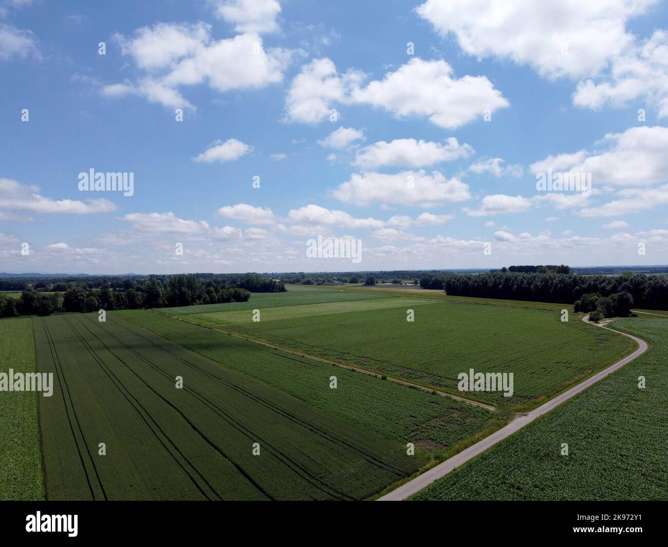 Aerial view of an agricultural field with grain planted in spring in ...