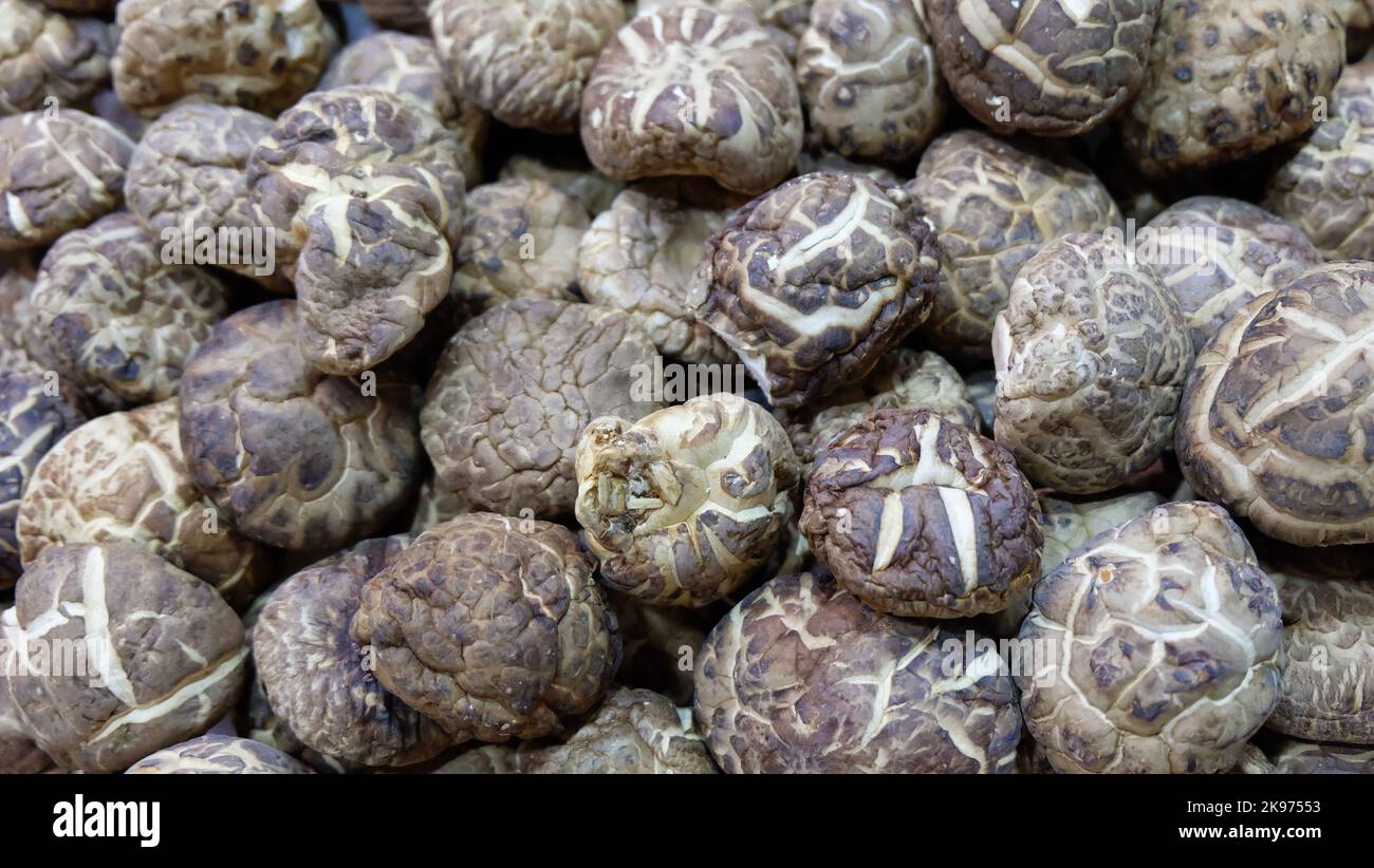 Closeup of a pile of dehydrated shiitake tea flower mushrooms Stock