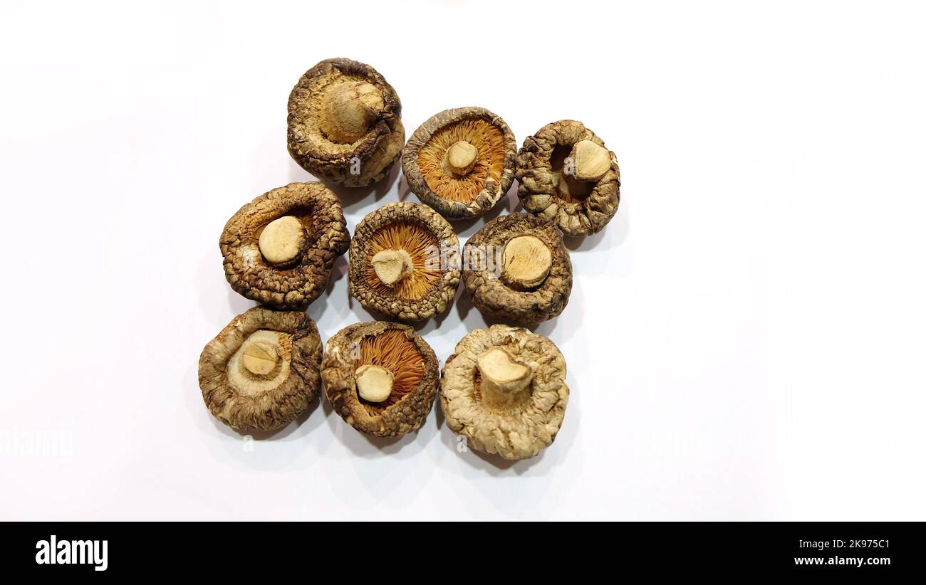 Flat lay of 9 dried tea flower mushrooms arranged in 3x3, with the bottom part stipe facing
