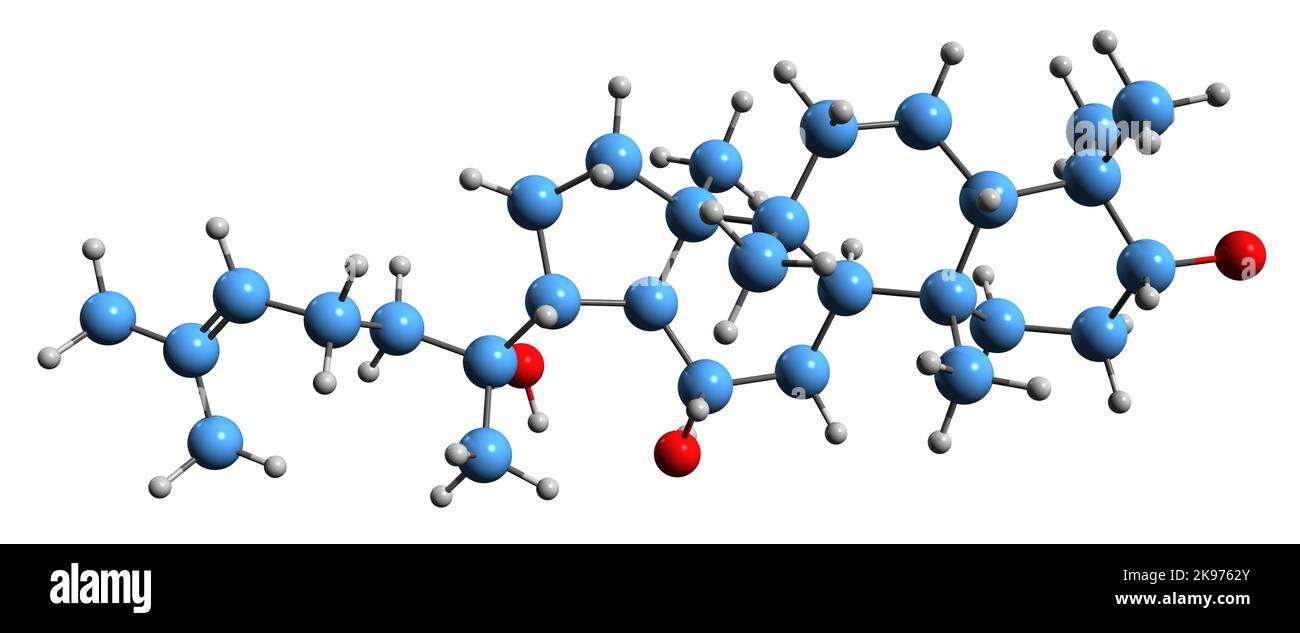 3D image of Protopanaxadiol skeletal formula - molecular chemical structure of ginsenoside isolated on white background Stock Photo