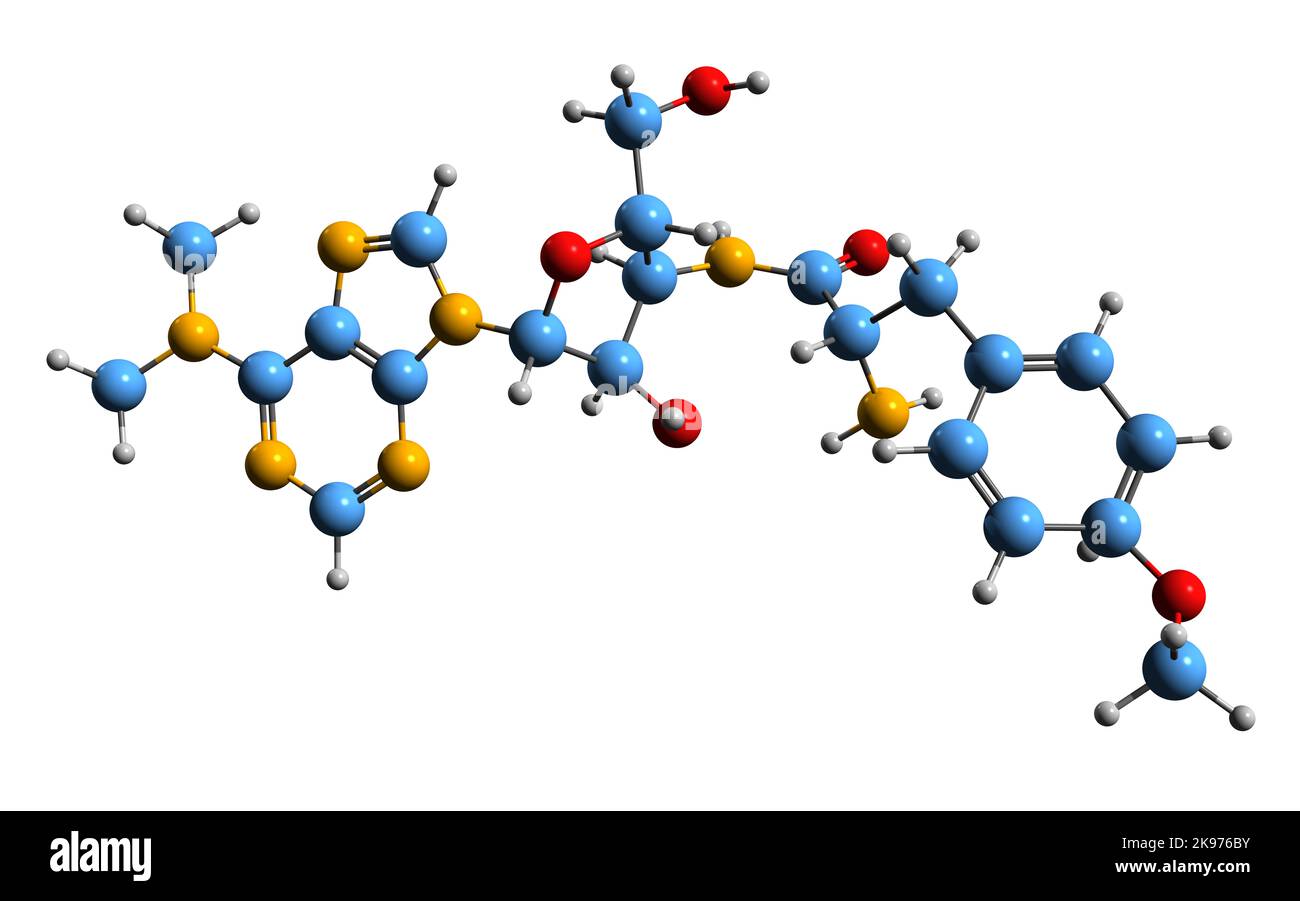 3D image of Puromycin skeletal formula - molecular chemical structure of aminonucleoside antibiotic isolated on white background Stock Photo