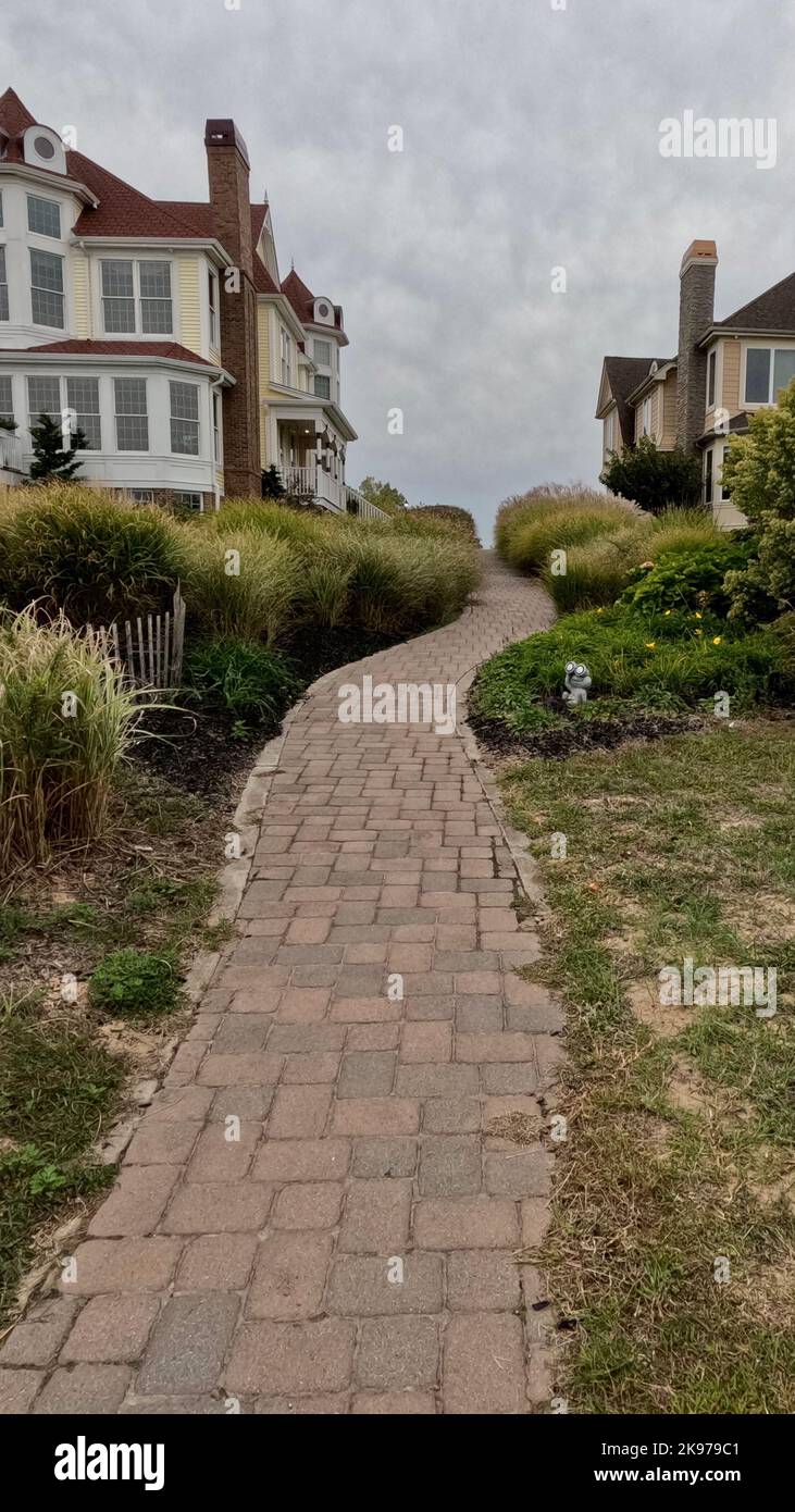 Bush lined brick path between houses Stock Photo Alamy