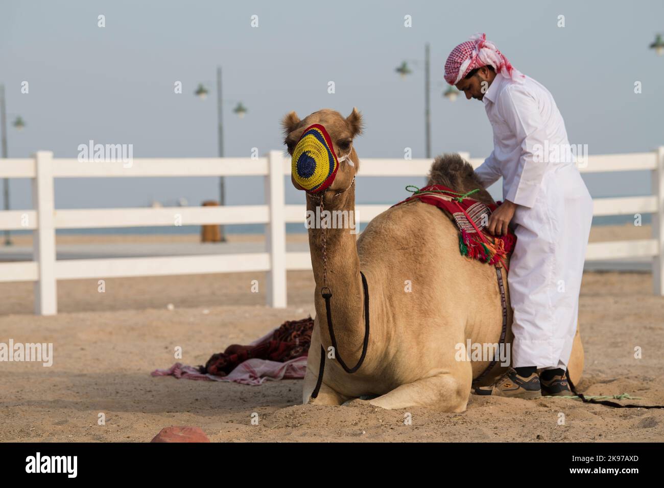 Doha, Qatar October,22,2022 A man puts traditional riding equipment