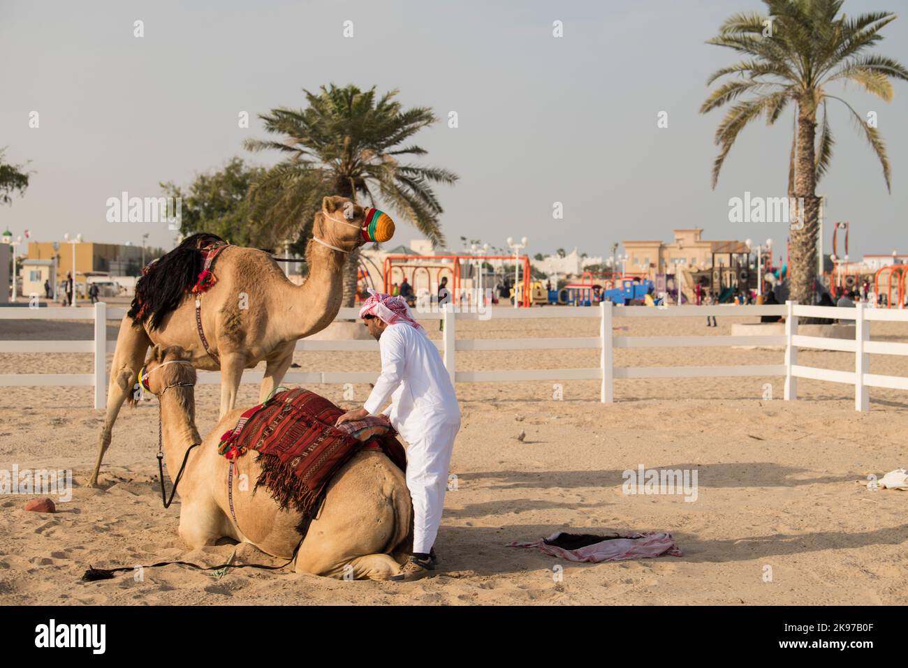 Doha, Qatar October,22,2022 A man puts traditional riding equipment