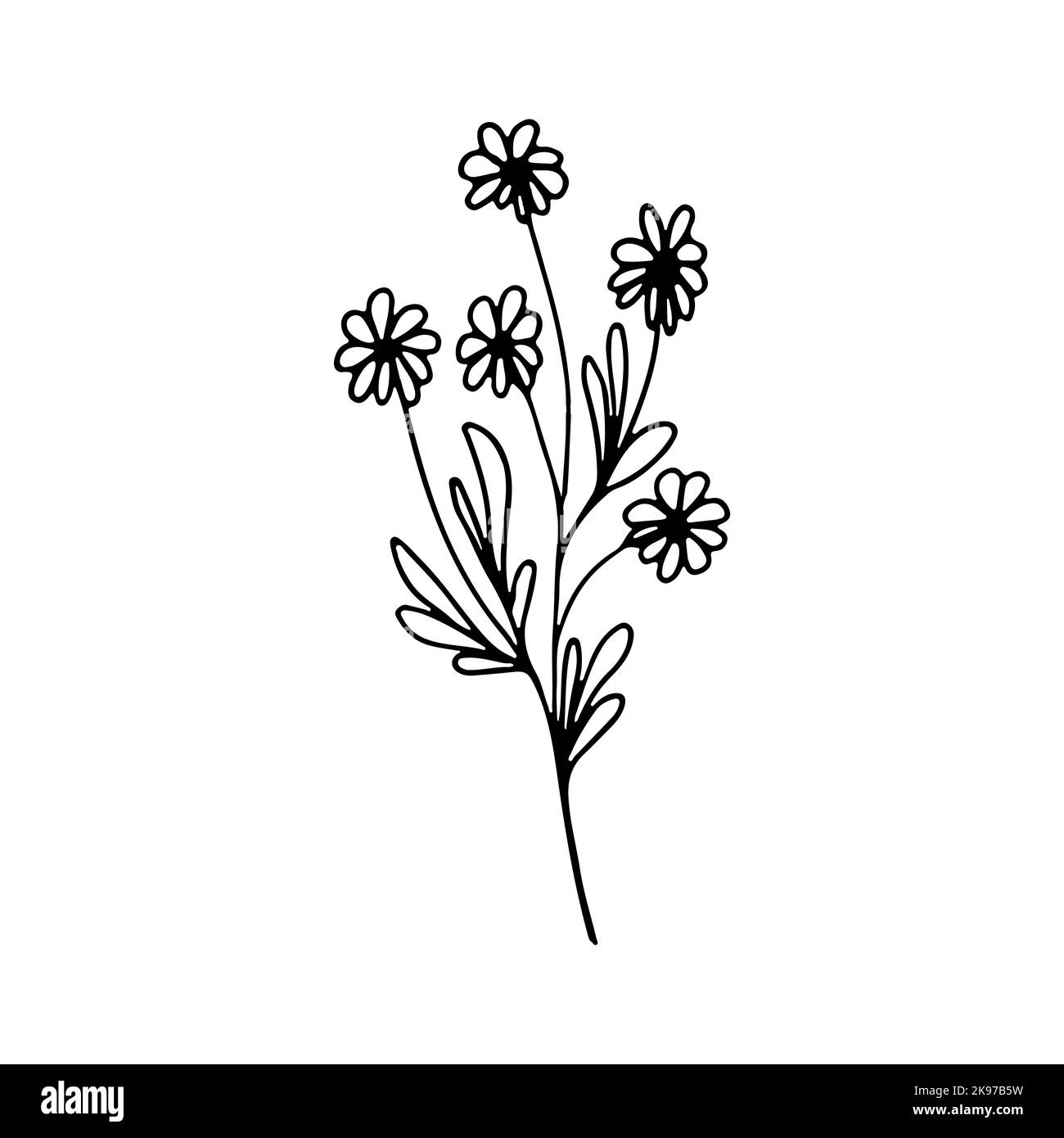 FLower in hand drawn doodle style. Vector illustration for postcard ...