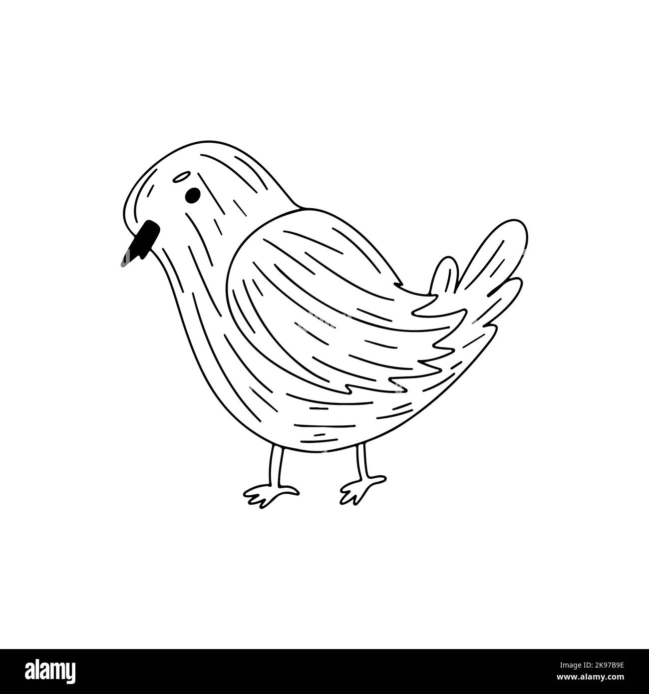 Cute bird in hand drawn doodle style. Vector Illustration Stock Vector ...